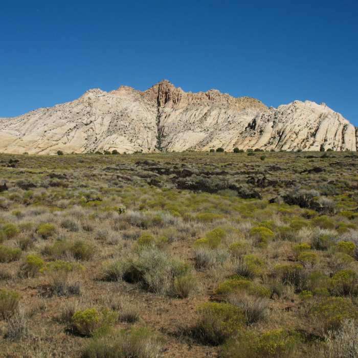 Near Lava Flow Trail