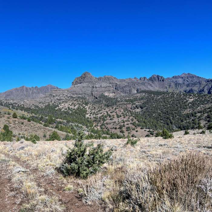 Near Indian Creek Road Near Indian Creek Road
