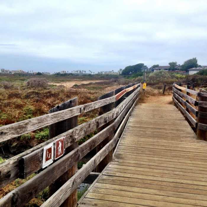 Near North McCoy Trail