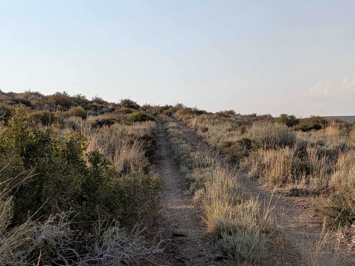 Dog Creek Loop photo 5