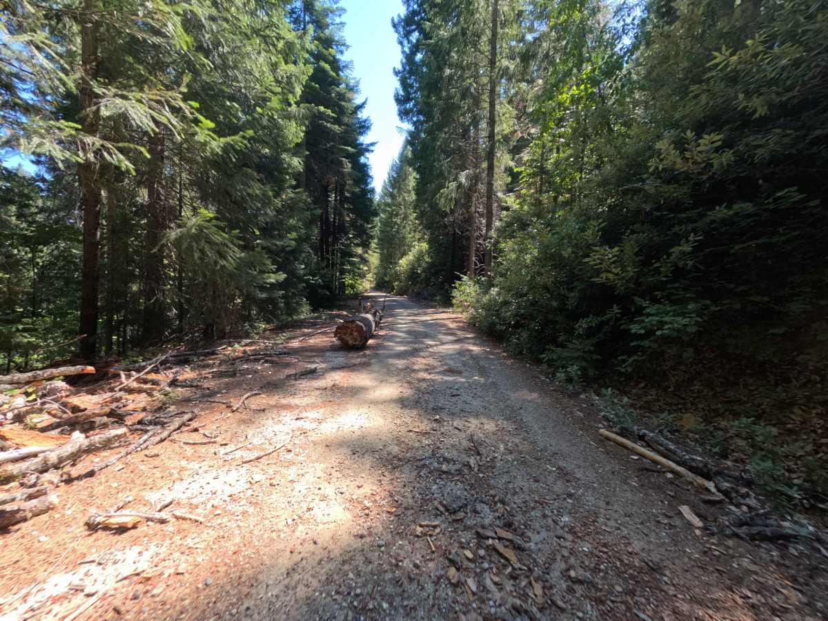 Upper French Creek - FS 21N56 photo 6