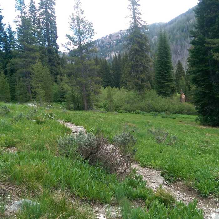 Near Idaho Centennial Trail: Section 18