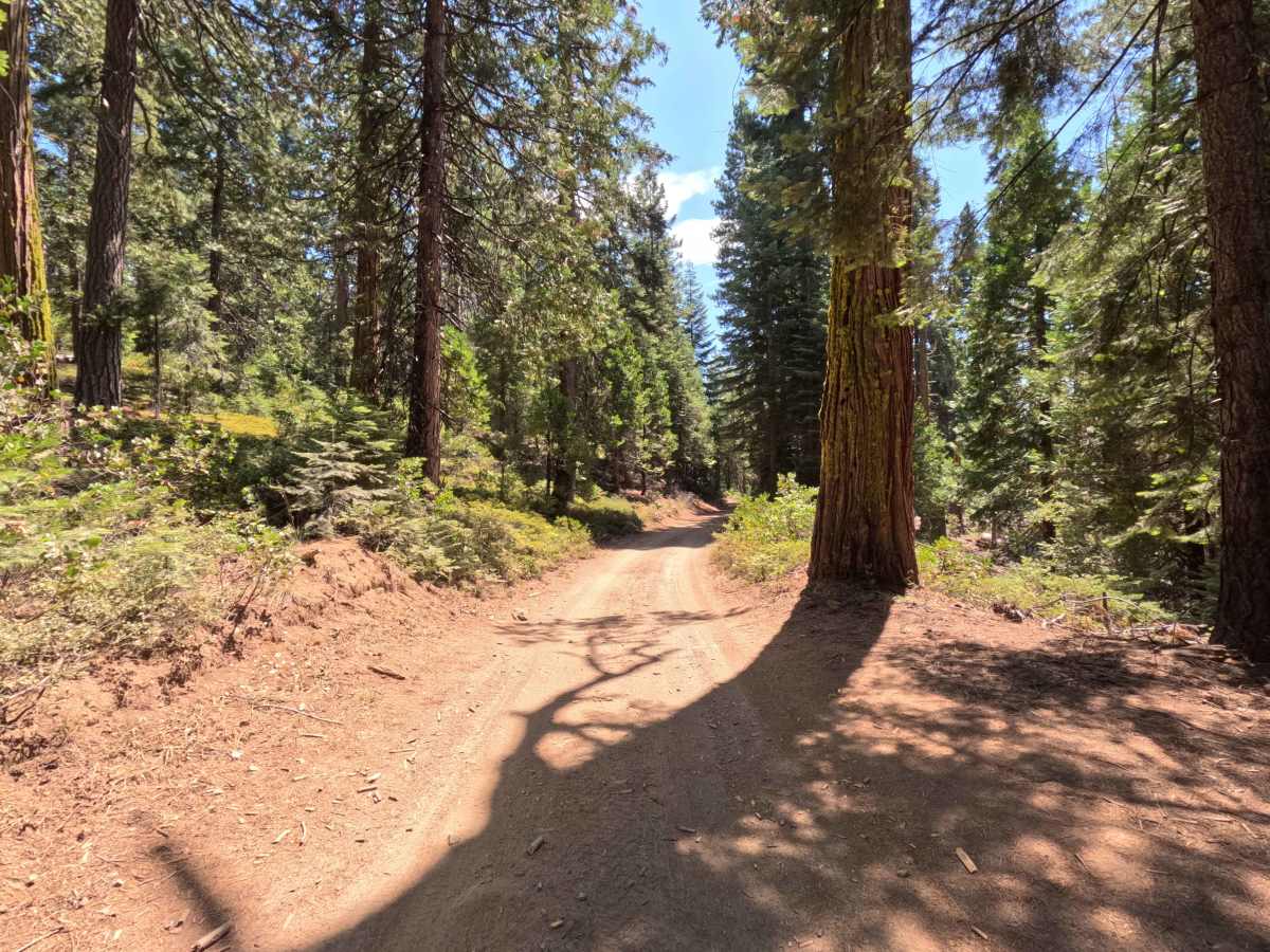 Mount Raymond Road - FS 5S006 photo 3