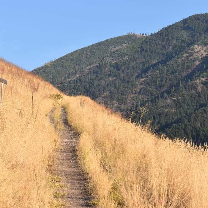 Near U.S. West Trail + Hidden Trail