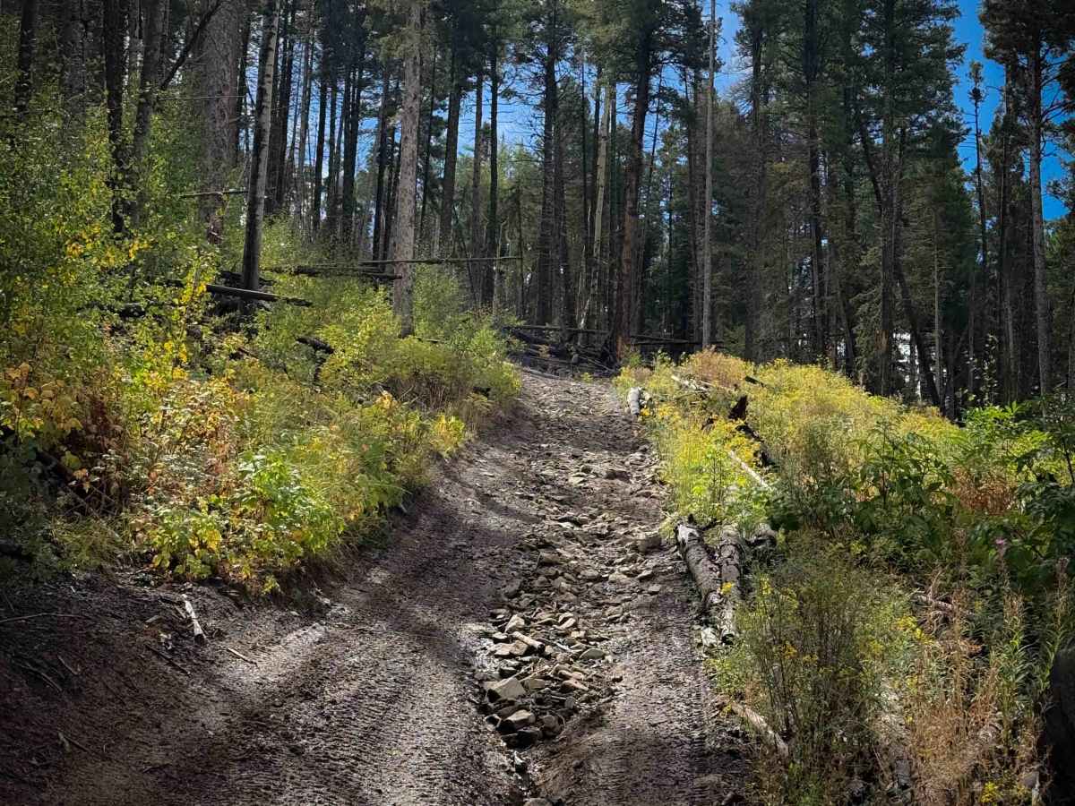Bear Canyon Trail 28 photo 6