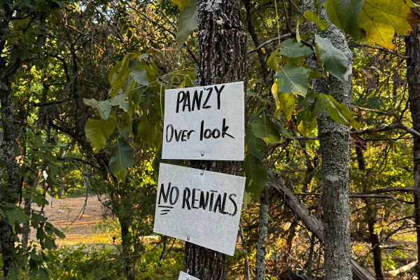 Pansy Overlook