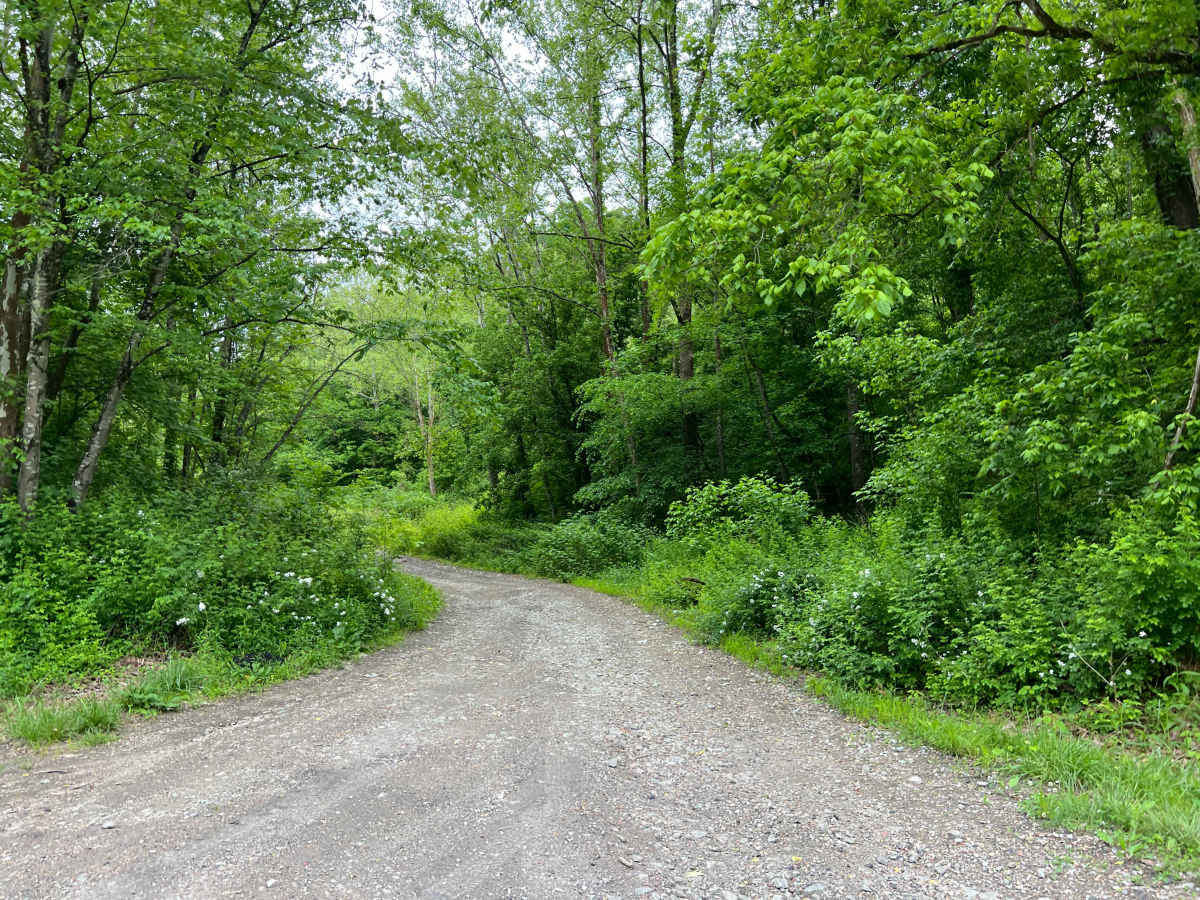KC13 trail photo