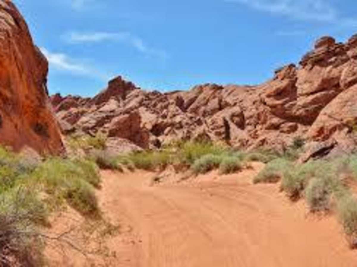 13-Mile Loop photo 4