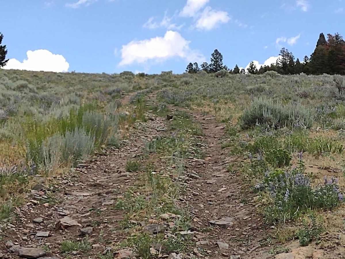 Ratio Mountain Majesty Loop photo 2