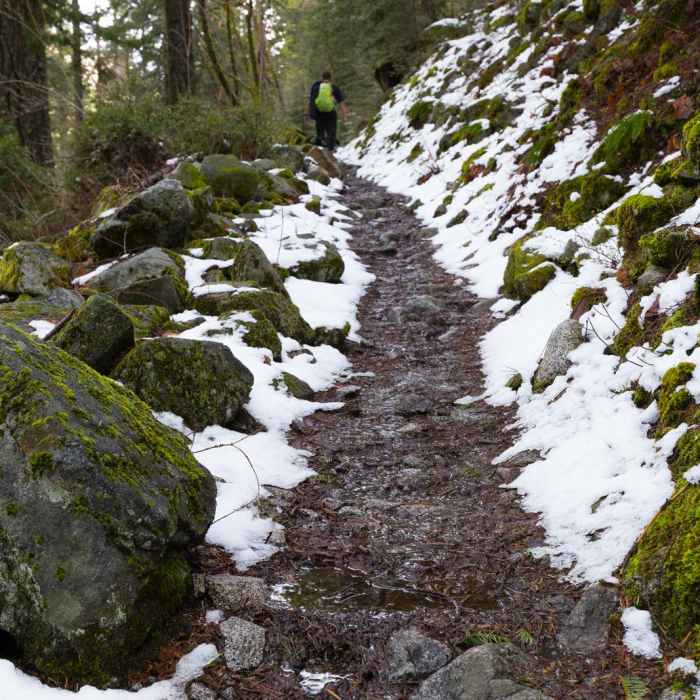 Near Canyon Creek Falls