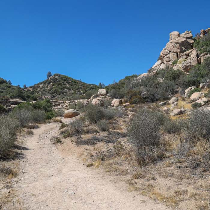 Near The Pinnacles Near The Pinnacles