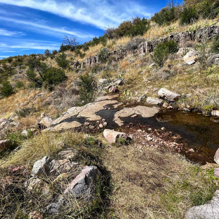 Near Mazatzal Divide Trail #23