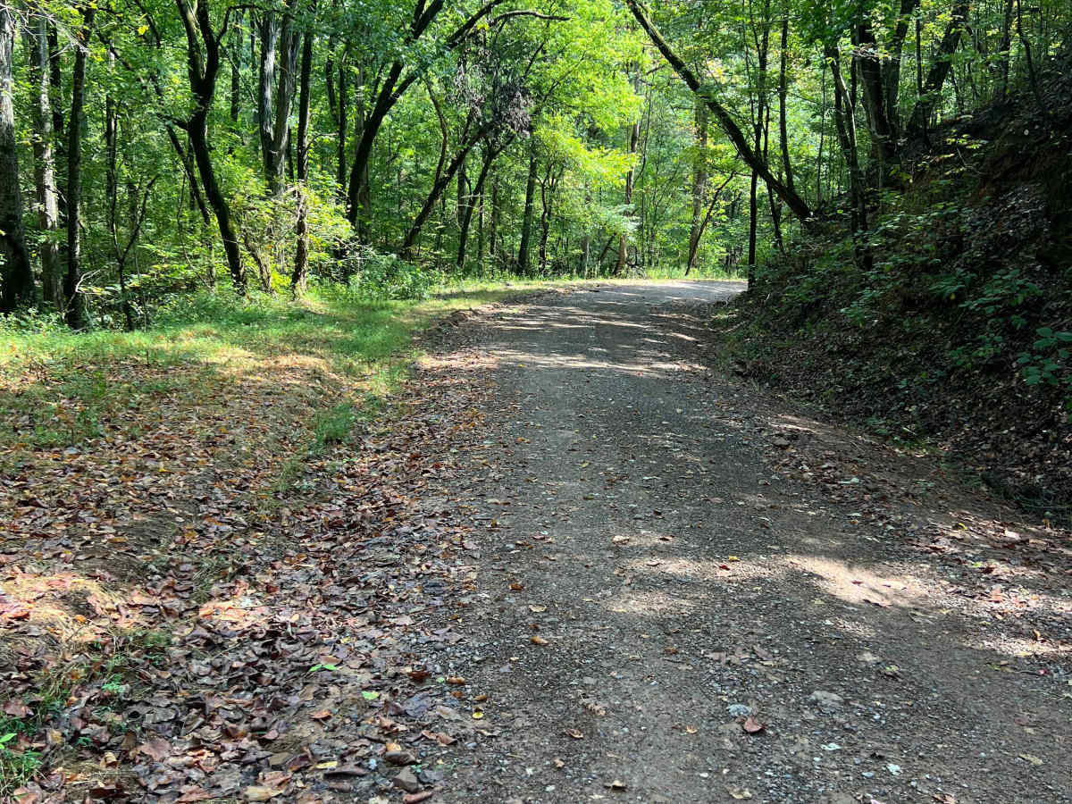 Estelle Mines Road photo 6
