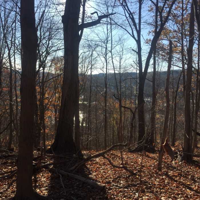 Near Sheldon Trail