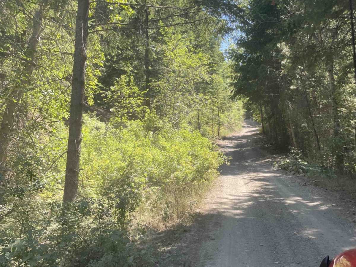 Jack Swartz FSR to Little Box Canyon Rec Site photo 3