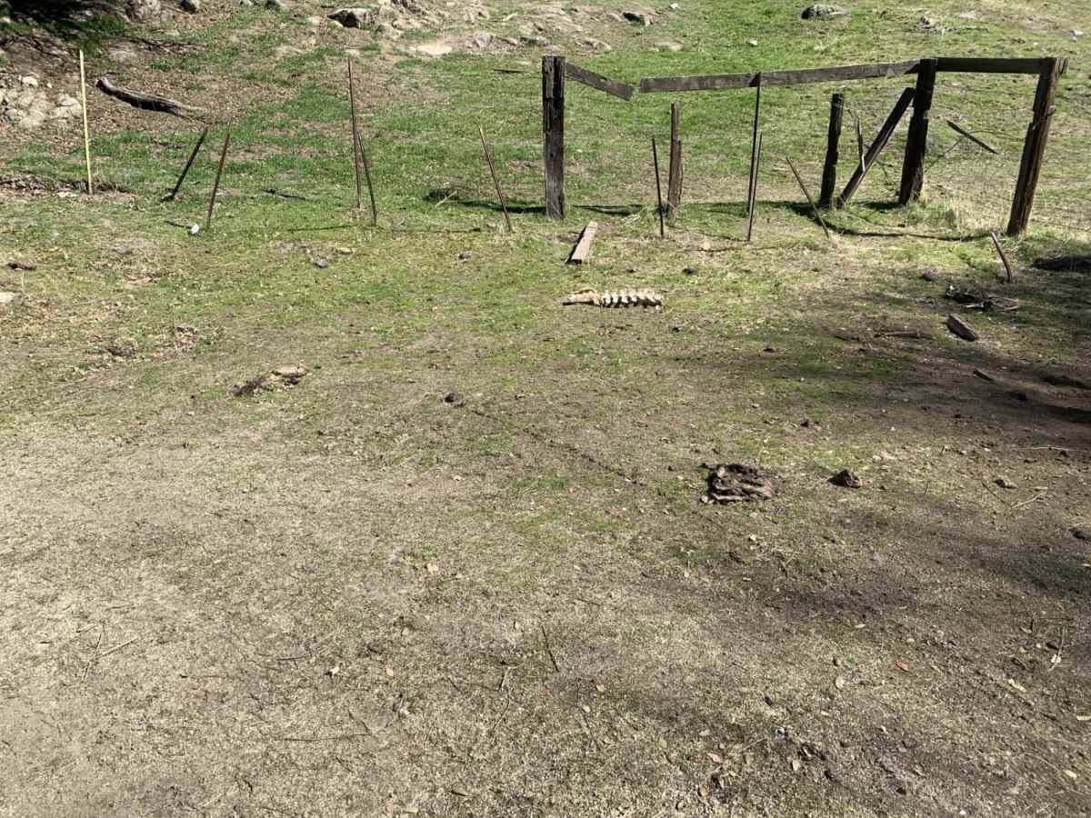 Cow Flat photo 3