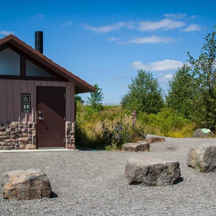 Near Gibbons Creek Wildlife Art Trail