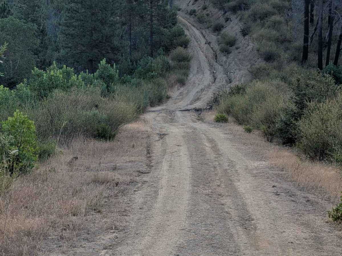 Lucky Jeep Trail - FS 31N50 trail photo