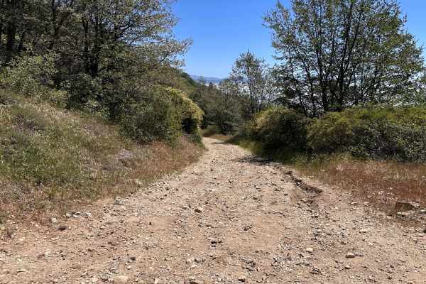 Windcarved Ridge
