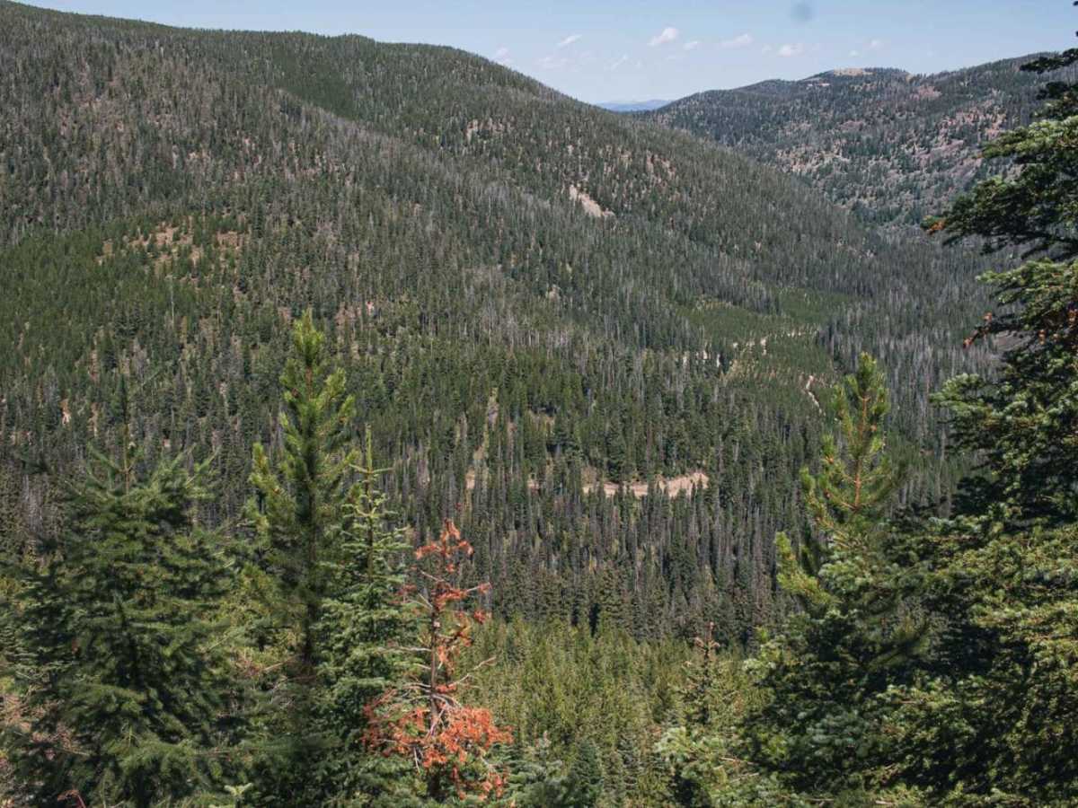 Bison Mountain photo 2