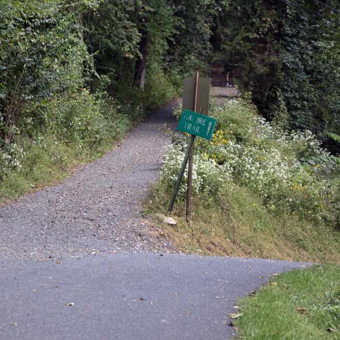 Near Lehigh Parkway - Fish Hatchery to Iron Bridge Loop Near Lehigh Parkway - Fish Hatchery to Iron Bridge Loop