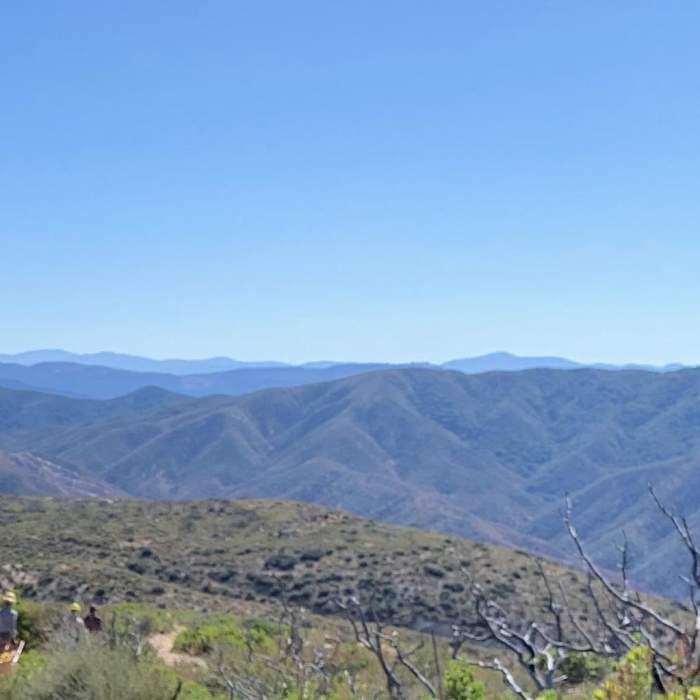 Near Lake Hughes to Sawmill Campground