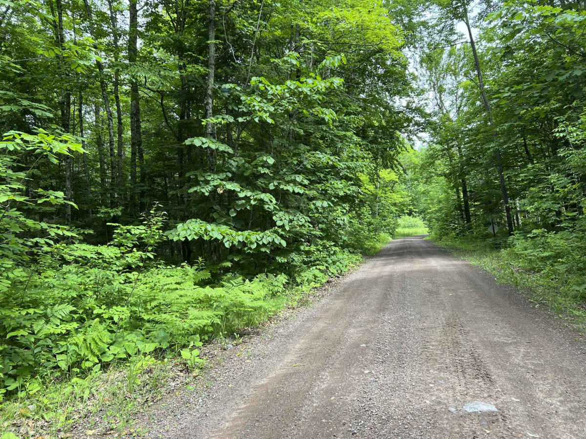 Trail P - FDR502 photo 6