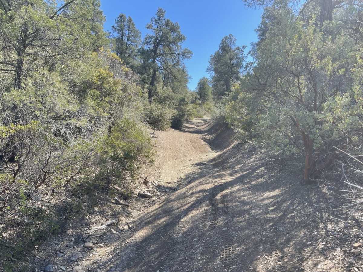 Buzzard Roost trail photo