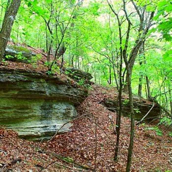 Near Miner's Rock Trail