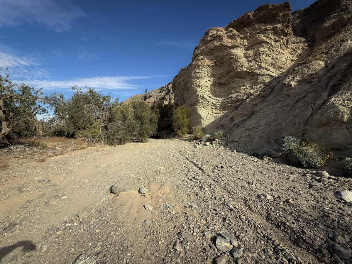 Wellton Wash  photo 4