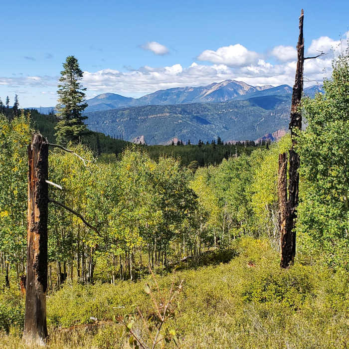 Near Missionary Ridge