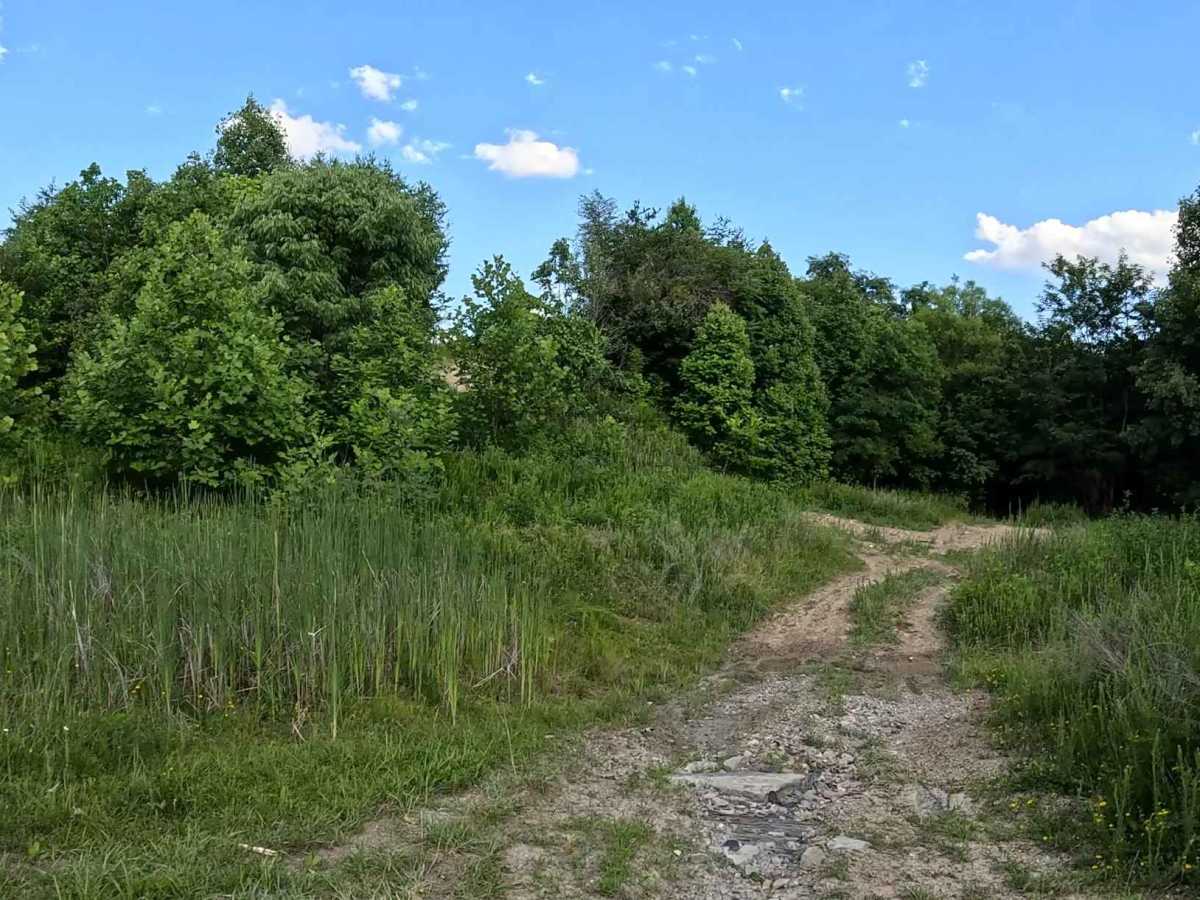 Q25B trail photo
