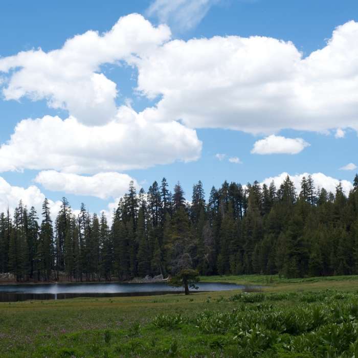 Meadow and Lukens Lake approaching the lake. Near Lukens Lake