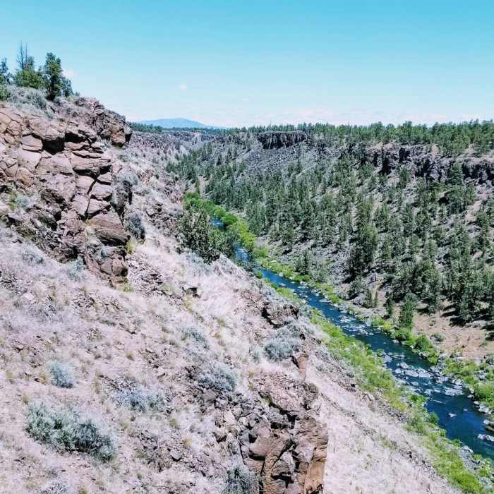 Near Maston Rim Trail