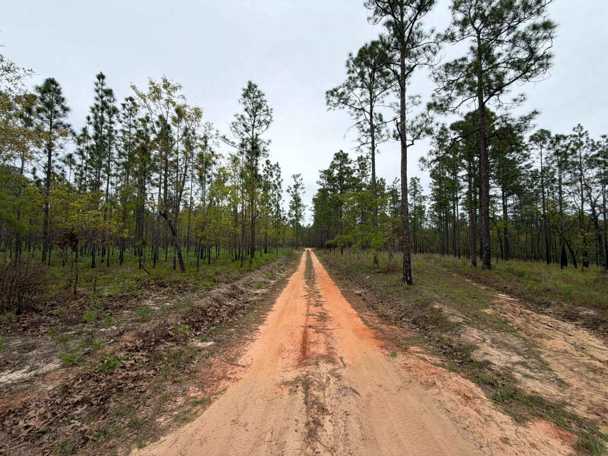 F 38 trail photo
