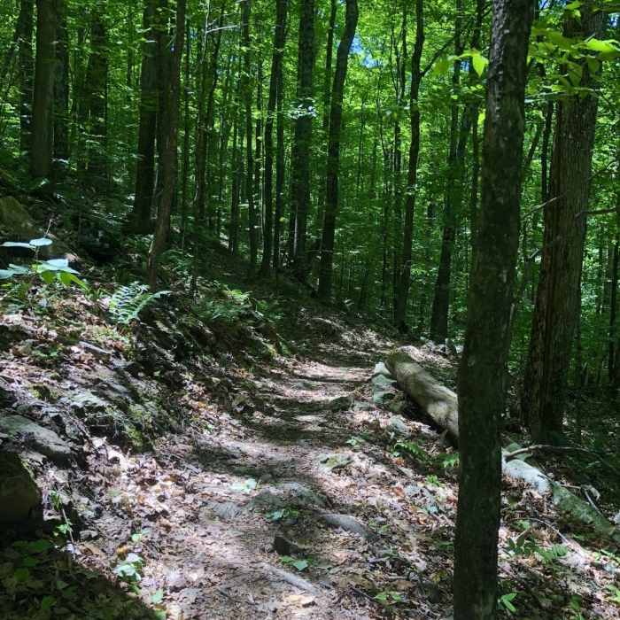 Near Bald Mountain Trail
