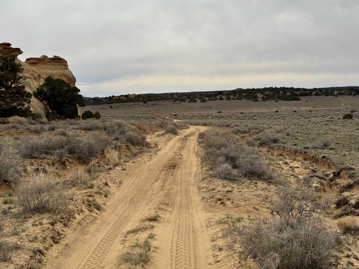 Lone Warrior photo 3