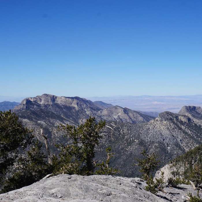 Near Mummy Mountain via Trail Canyon