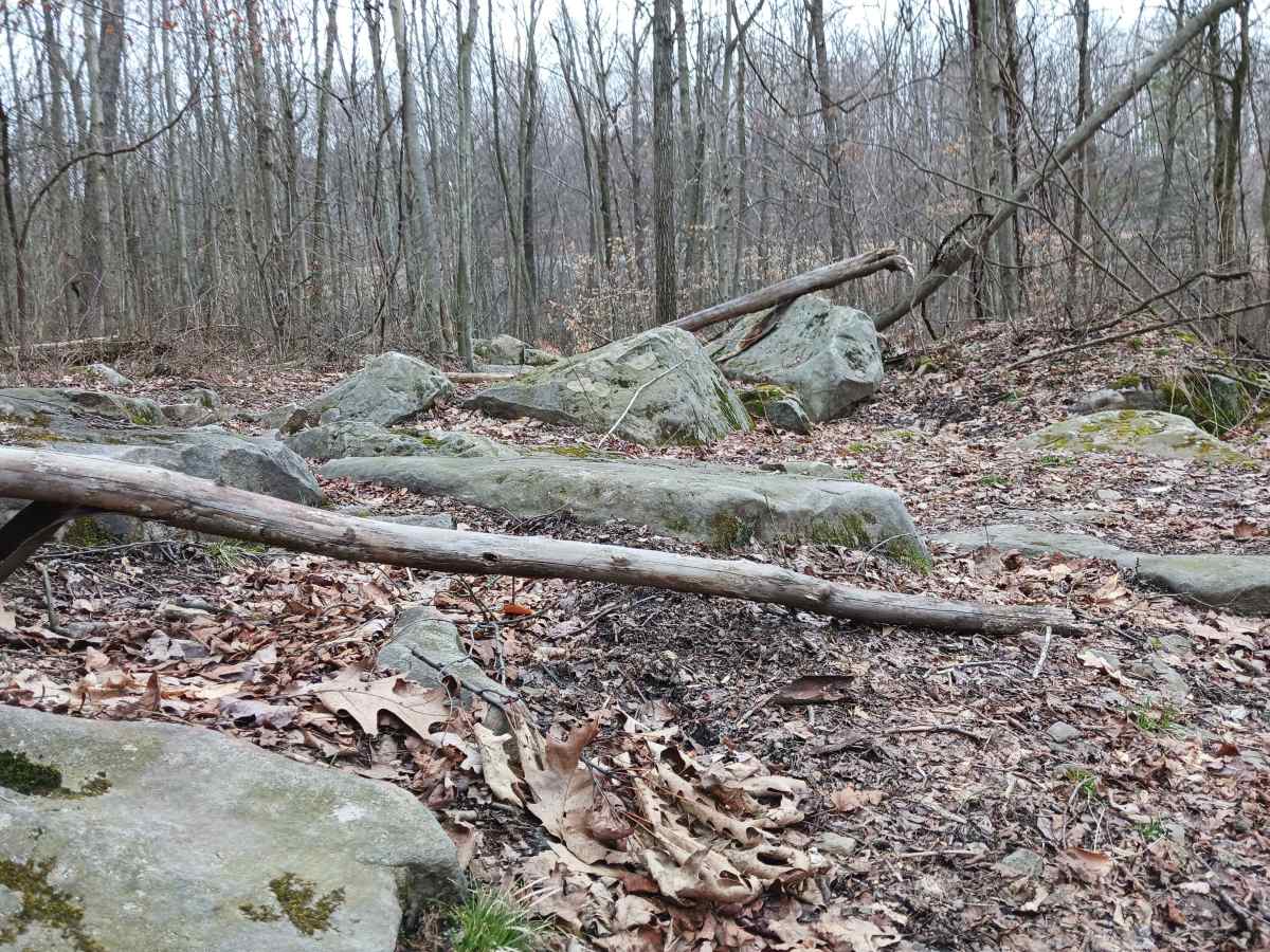 OHV 52 - Rock Run Recreation Area photo 3