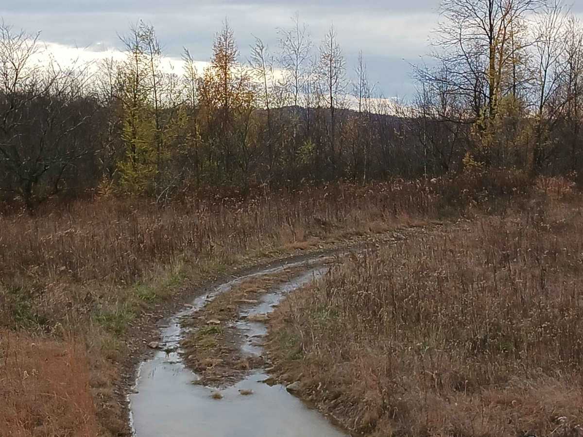 13C2 - Rock Run Recreation Area photo 4