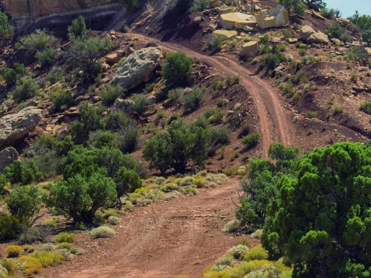 Maze Overlook photo 4