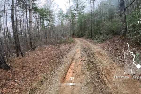 Deaden Timber Road - FS 825