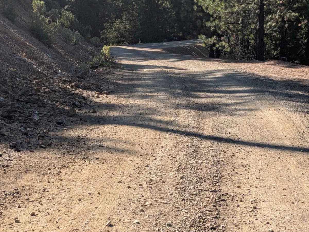 31N31 Main Tule Rd trail photo