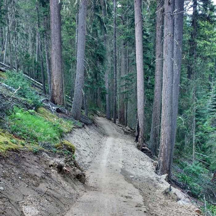 Near Swift Creek Trail