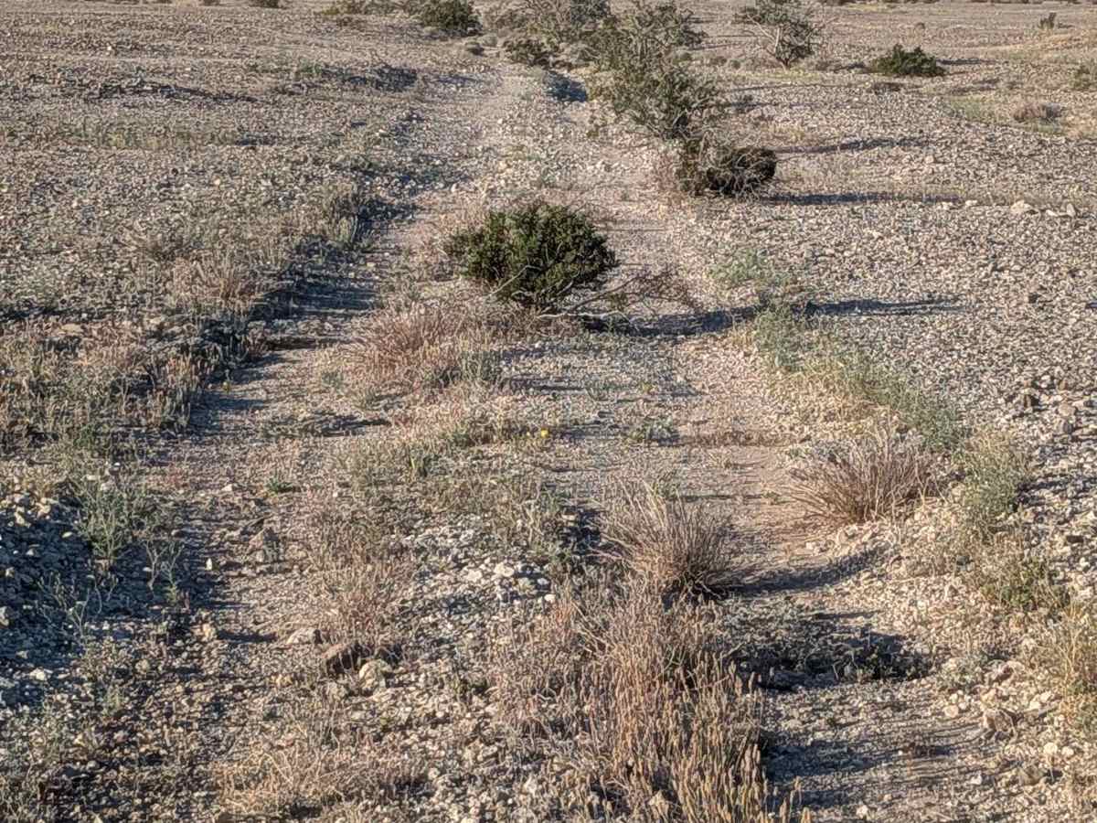 BLM 702 photo 6