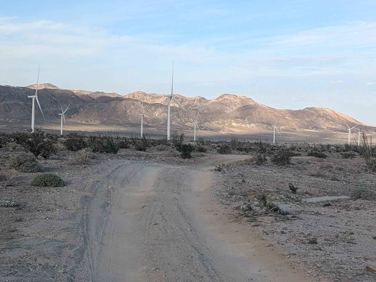 BLM 109 photo 6