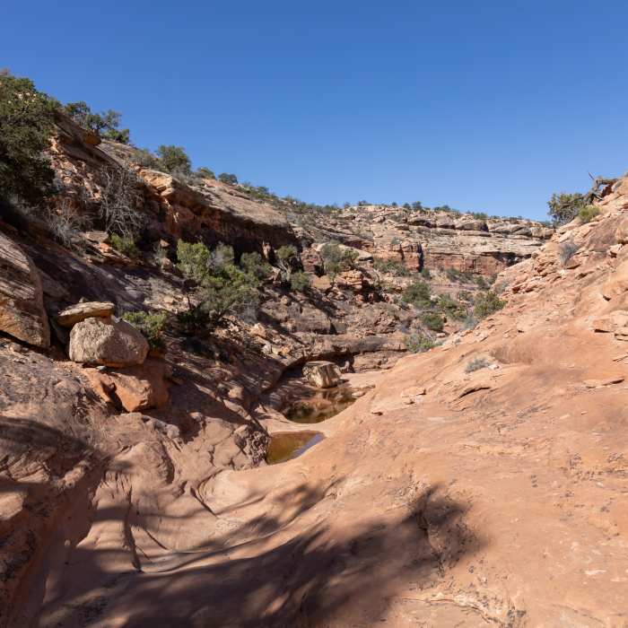 Near Trail Canyon
