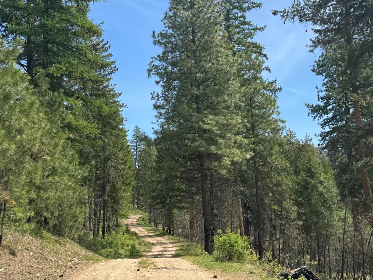Sherman Creek Trailhead Road photo 5