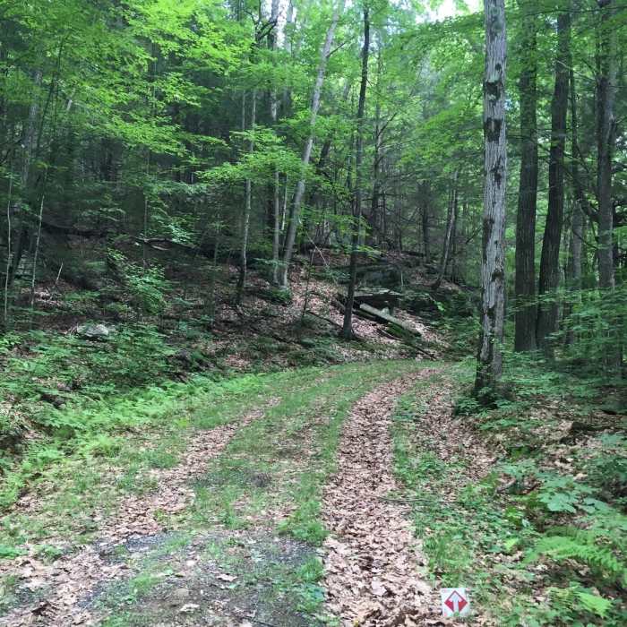 Red loop. Near Northfield Mountain Trails