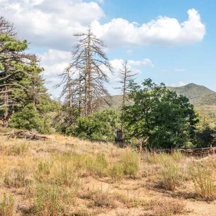 Near Desert View Trail via Burnt Rancheria Campground